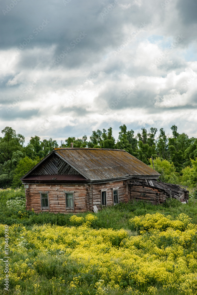 Old shack and blooming grass in countryside. Yellow flowers and green grass growing near aged wooden hut against cloudy sky. Abandoned old log house