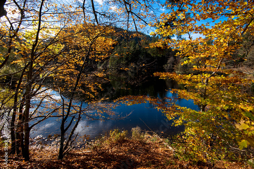 Herbst am Lac de Retournemer in den Vogesen