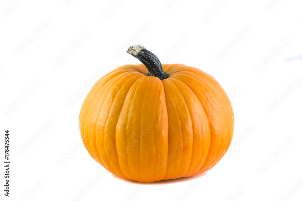 Fototapeta premium Zucca di Halloween