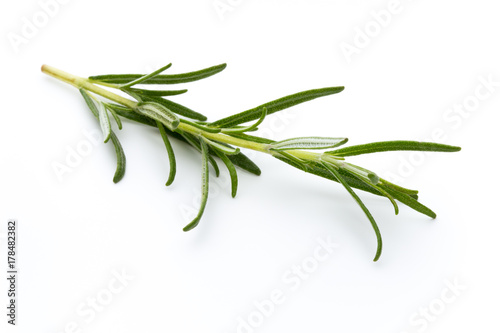 Rosemary isolated on white background  Top view.