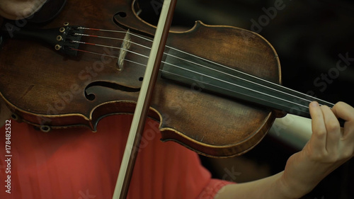 Girl's hand on the strings of a violin. Girl's hand on the fingerboard violin.
