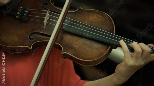 Photography Girl's hand on the strings of a violin