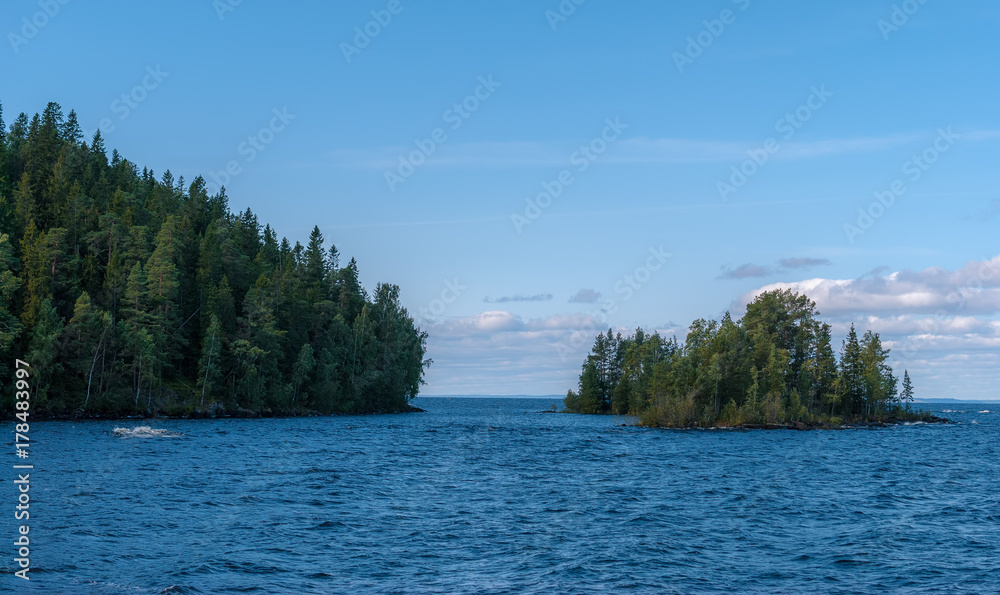 The forest on the island of Sunny summer day The forest on the island of Sunny summer day