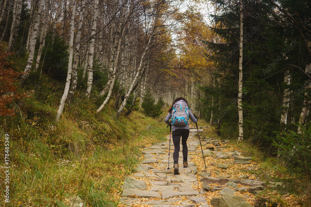 Obraz premium mountain walk in autumn in Giant Mountains in POland