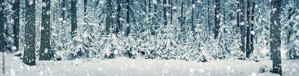 Beautiful tree in winter landscape in late evening in snowfall