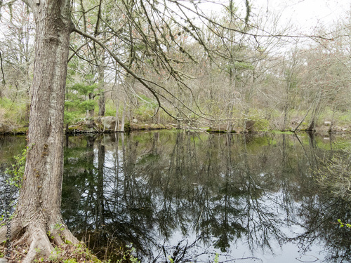 Grace Pond in Mattapoisett