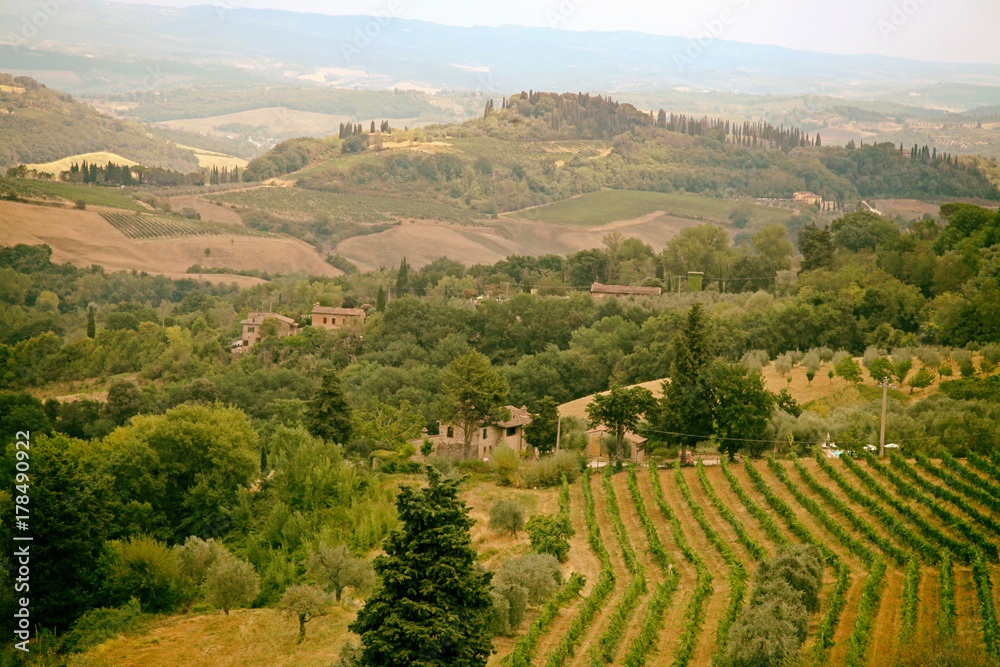 Naklejka premium Scenic view of typical Tuscany landscape, Italy