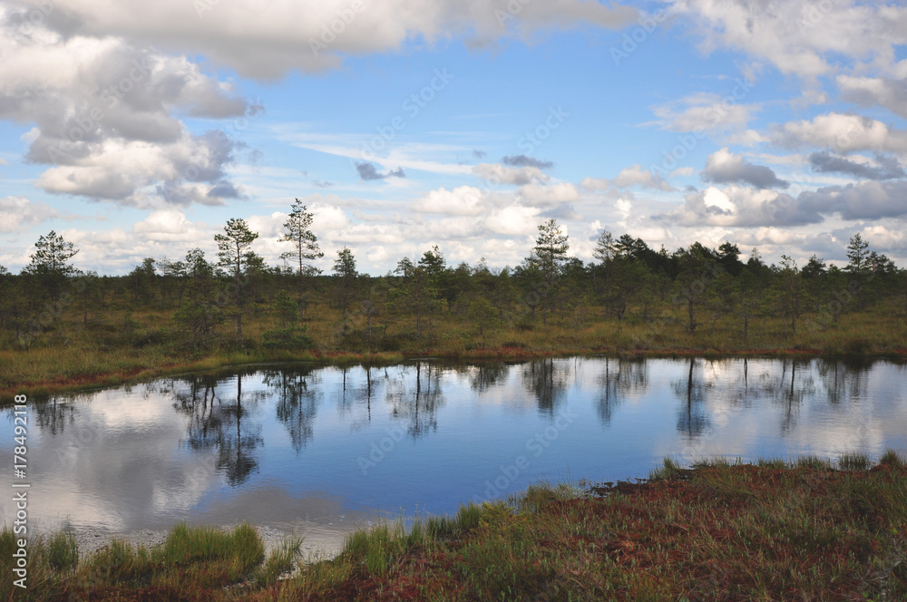 Beautiful swamp with white clouds and blue sky. Beautiful swamp with white clouds and blue sky.