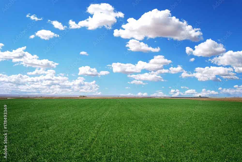 agriculture landscape