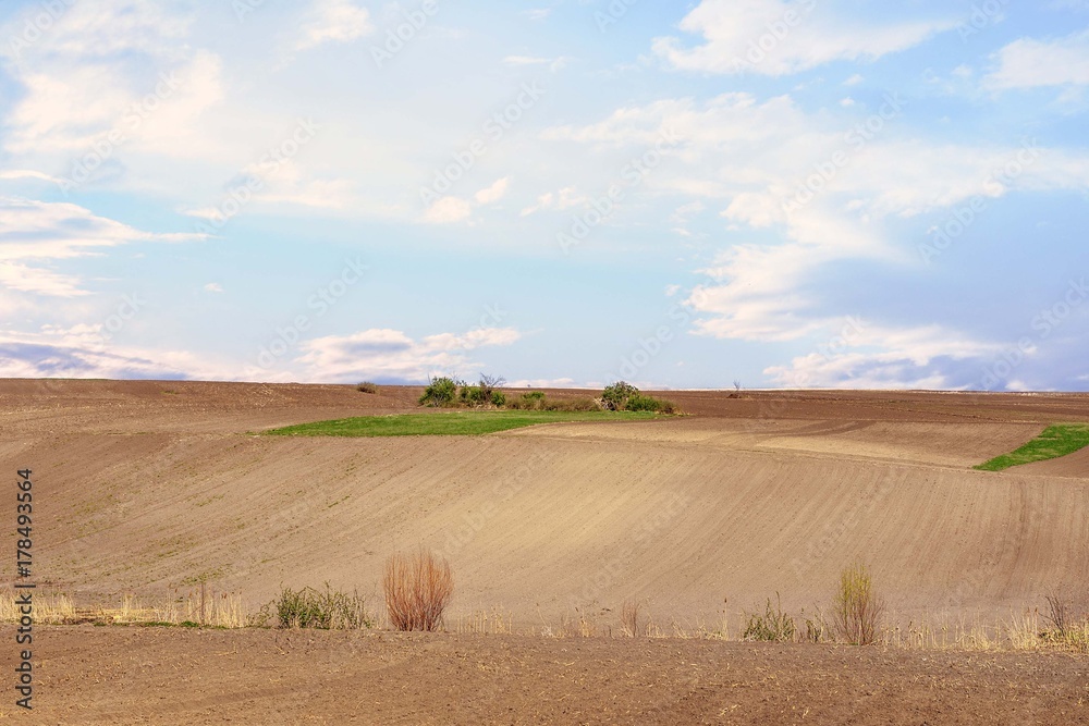 Obraz premium agriculture landscape