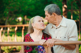 Embrace and kiss of old couple in a park on a sunny day