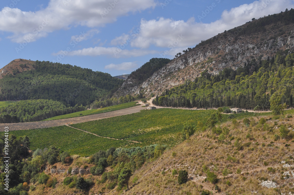 The hills in Segesta