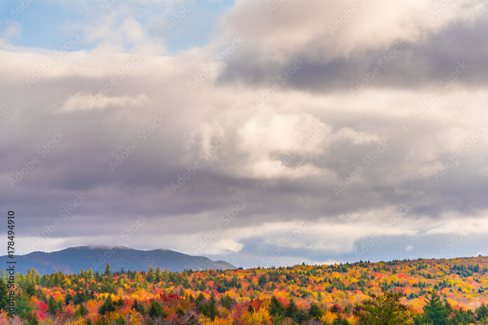 Autumn & Overcast Sky, Kancamagus Hwy, New Hampshire, USA