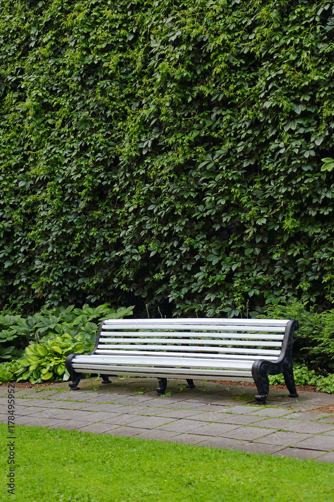 bench to relax in the Park bench to relax in the Park