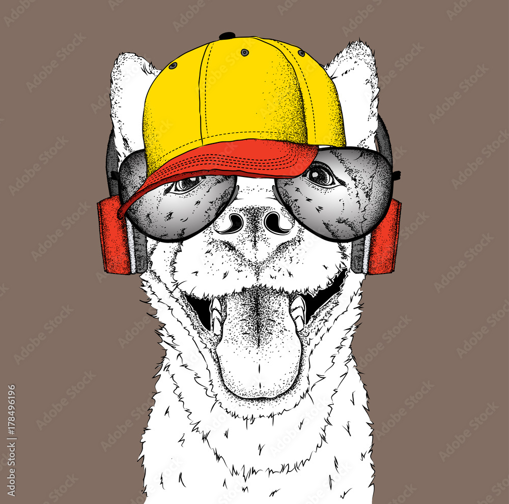 Naklejka premium A dog in headphones. Hipster dog in cap. Vector illustration