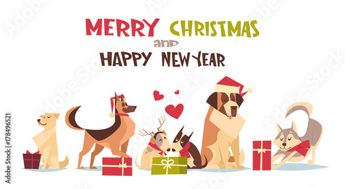 Cute Dogs In Santa Hats Isolated On White With Gift Boxes Merry Christmas And Happy New Year Poster Design Flat Vector Illustration