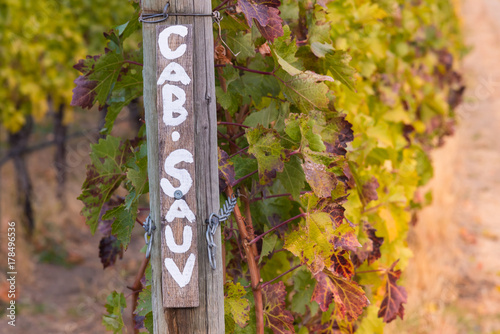 Photos Row of cabernet sauvignon grapevines with signpost in autumn