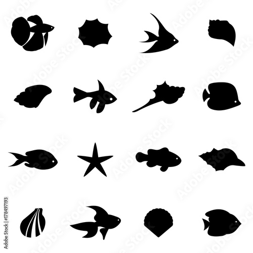 Seahells and fish in vector isolated on white