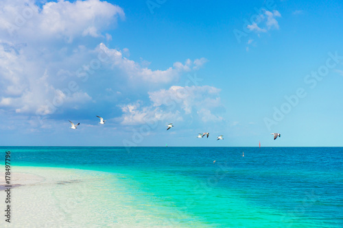 Idyllic tropical beach with white sand, turquoise ocean water and blue sky on Caribbean island