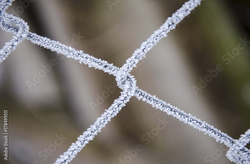 fence wire at winter snow