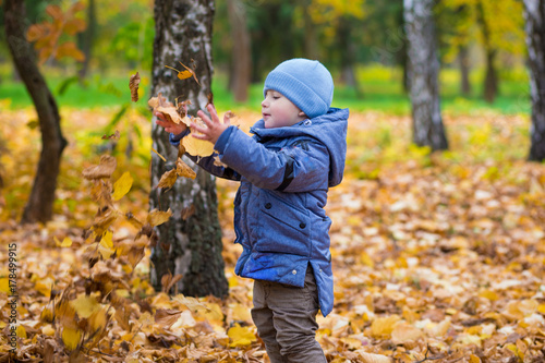 Little child boy 1 years old walks in the park on fallen colorful leaves in autumn day