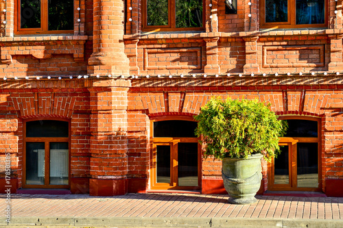 A flower pot with a bush of a tree stands at the red brick wall of an old house © alisluch