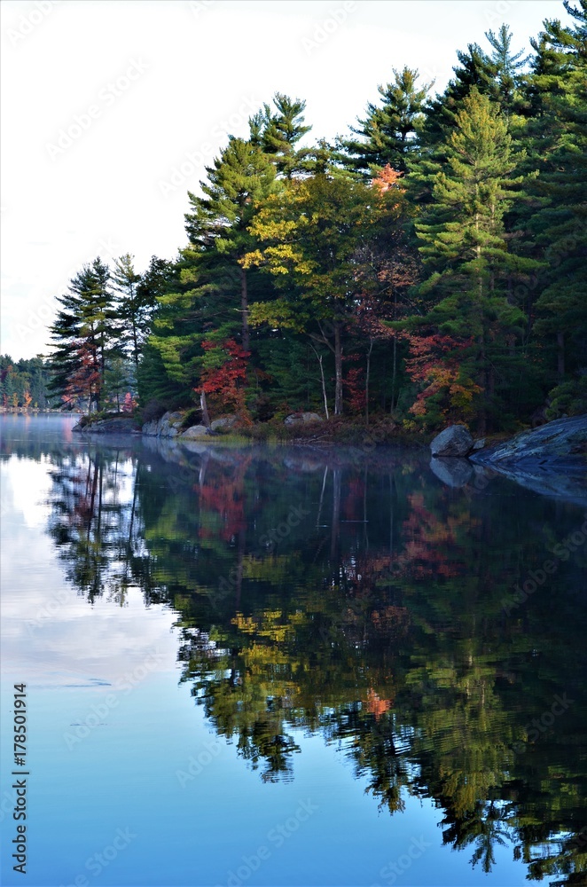 Obraz premium Fall at Muskoka, Ontario Canada