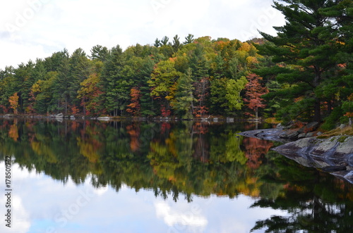 Fall at Muskoka, Ontario Canada