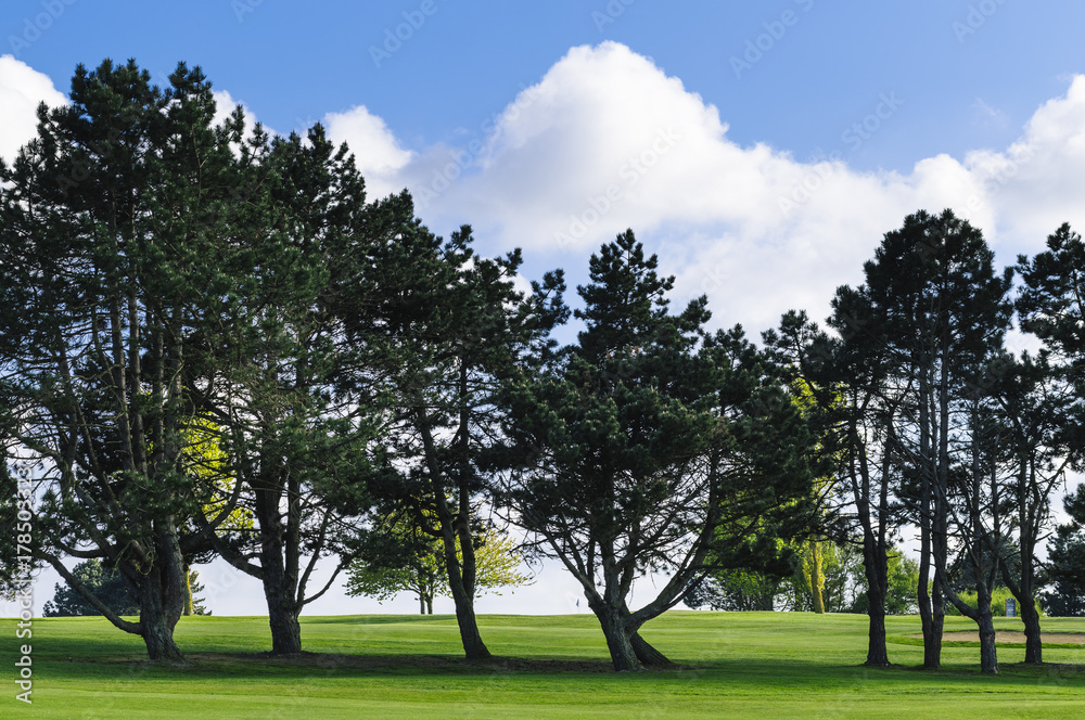 General view of a green golf course on a bright sunny day. Idyllic summer landscape. Sport, relax, recreation and leisure concept General view of a green golf course on a bright sunny day. Idyllic summer landscape. Sport, relax, recreation and leisure concept