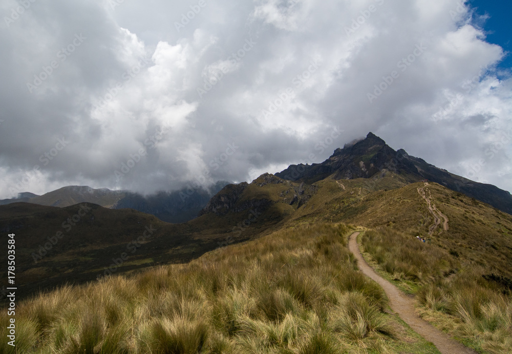 Fototapeta premium Andes Mountains