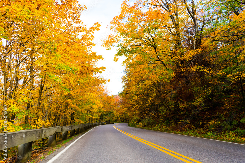 Obraz premium Side Fall Road