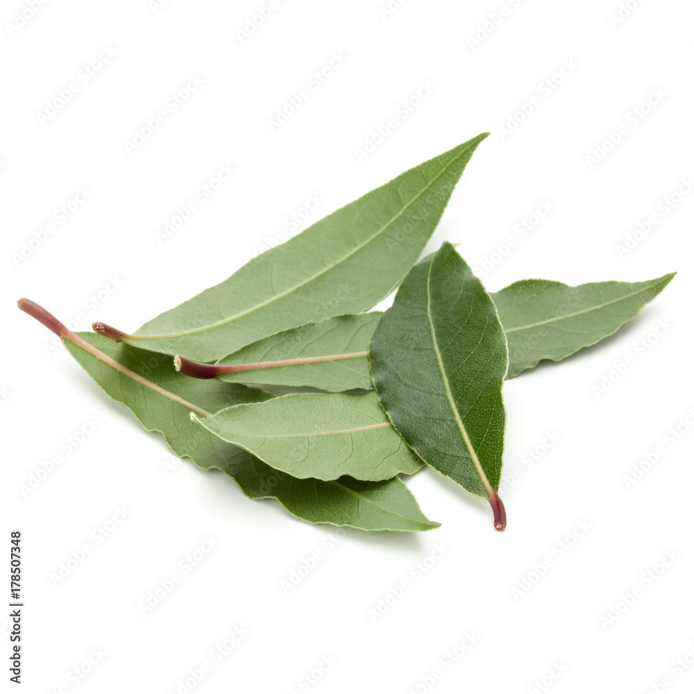 Obraz premium Aromatic bay leaves