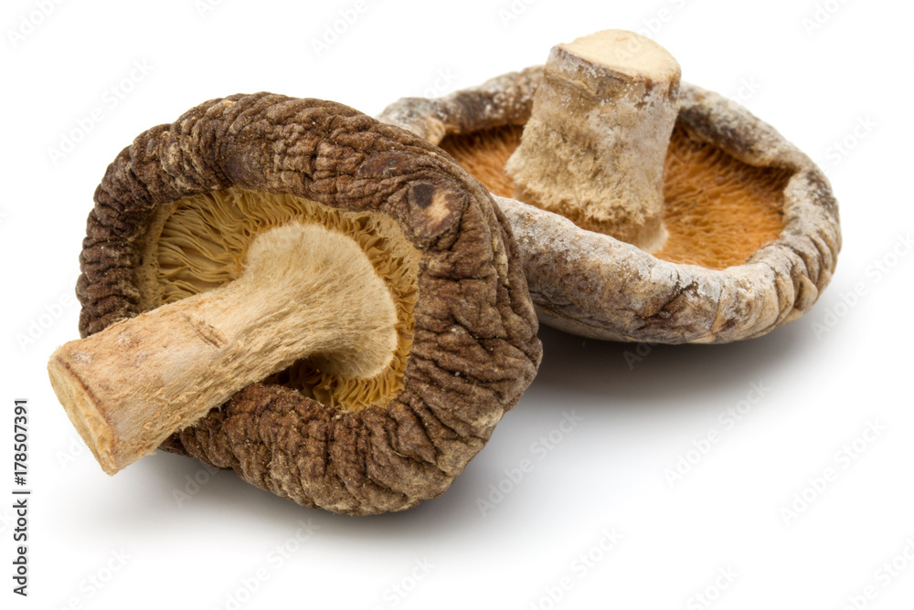 Dried Shiitake Mushroom isolated on white background Dried Shiitake Mushroom isolated on white background