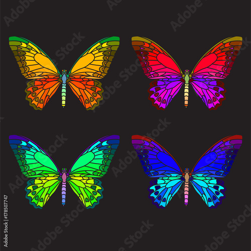 Canvas Print Bright  butterfly