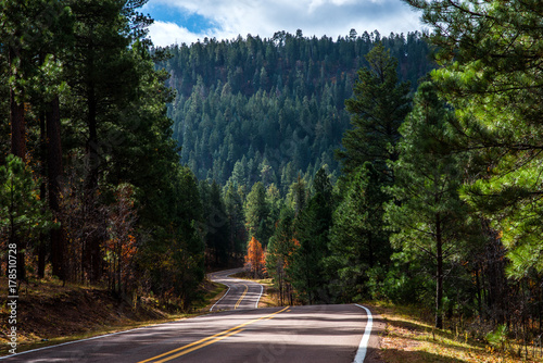 Fototapeta Naklejka Na Ścianę i Meble -  Road to Hawley Lake Arizona