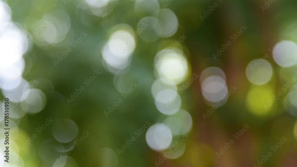 Out focus bokeh and lens flare. Out focus bokeh and lens flare.
