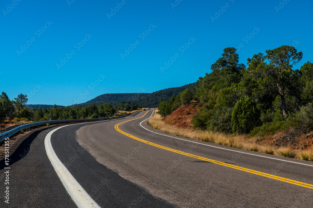 Fototapeta premium White Mountains Arizona