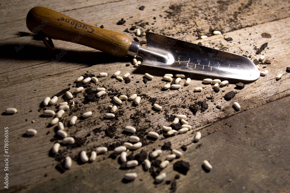 Seeds, Dirt and Trowel on Wooden background Seeds, Dirt and Trowel on Wooden background