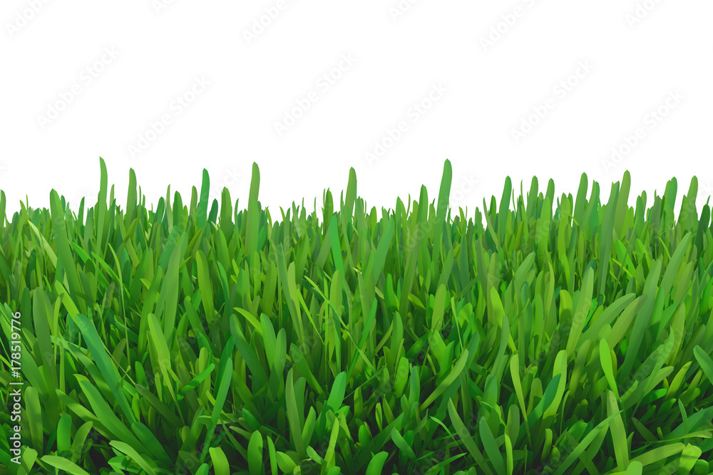 Fototapeta premium green grass nature. plants lawn. 3d rendering