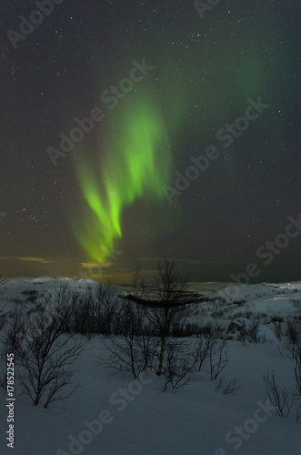 At night in the winter hills tundra and trees and in the sky the stars  Aurora.