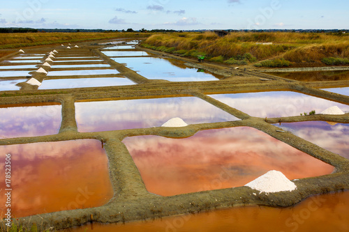 marais salant olonne sur mer photo