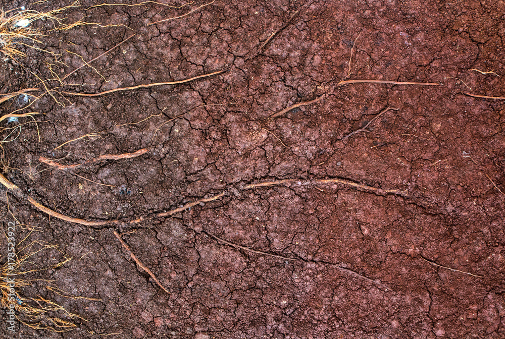 Dry soil surface cracks texture and background Dry soil surface cracks texture and background