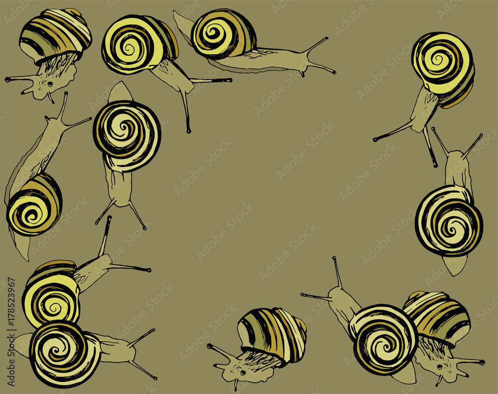 dynamic, striped snail
dynamic, striped snail