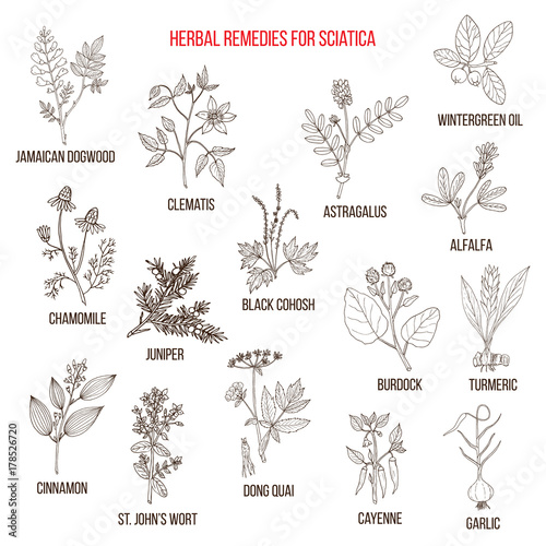 Herbal remedies for sciatica.