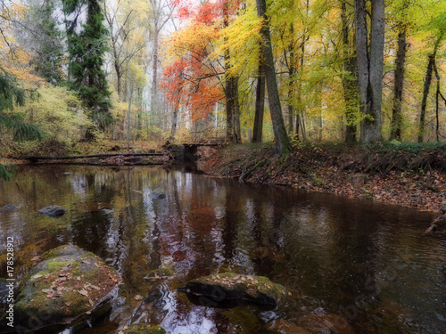 Creek in autumn landscape