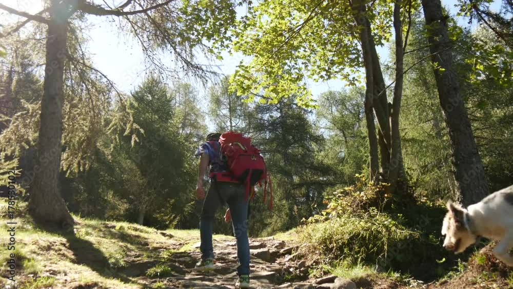 Trekking nel bosco in mezzo alla natura Trekking nel bosco in mezzo alla natura