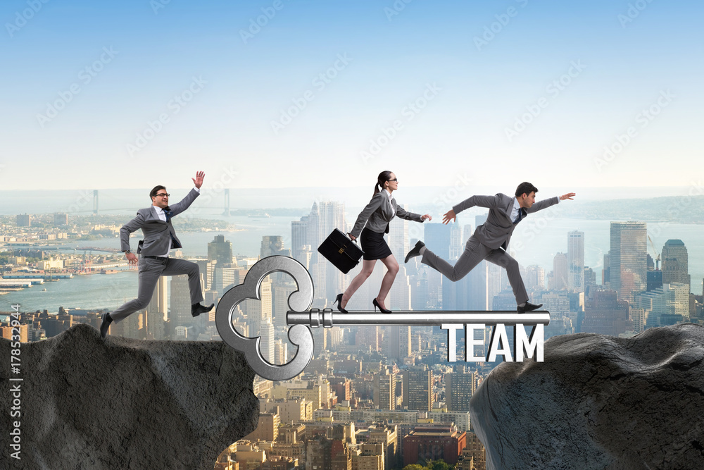 Fototapeta premium Business people in teamwork concept
