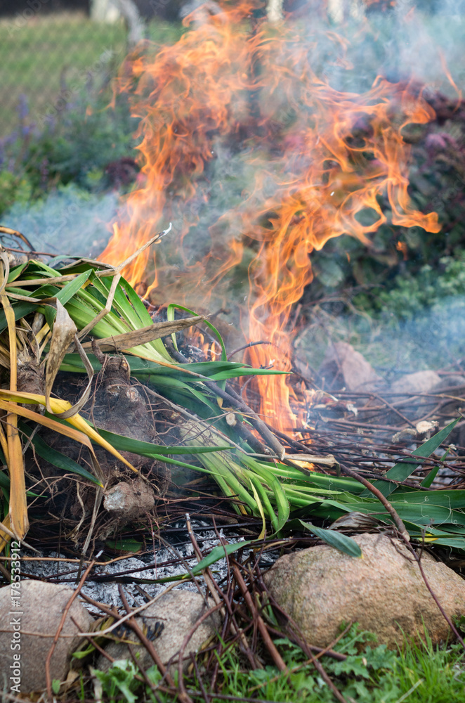 Bonfire of plants during autumn works in garden Bonfire of plants during autumn works in garden