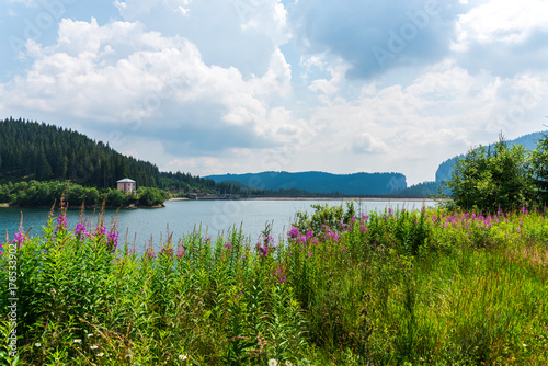 Landscape in Carpathian Mountains