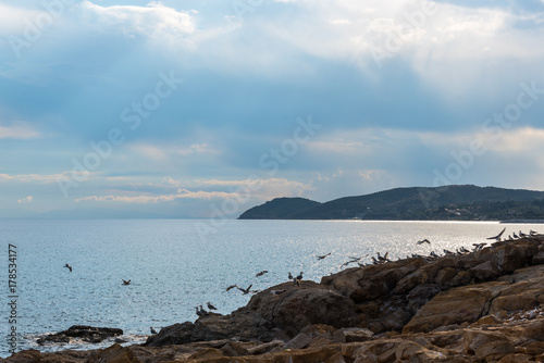Sea landscape  © Ivanica